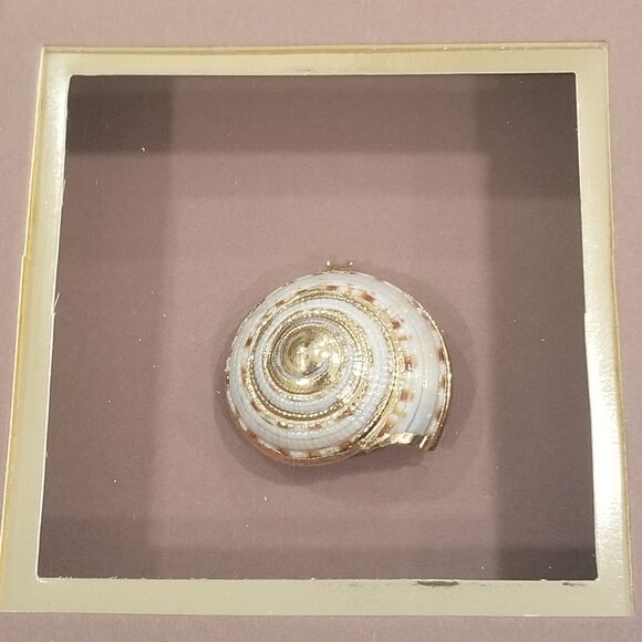 Figi Giftware abalone and gold shells display box wall decor 4 in 1 vintage - Picture 4 of 12